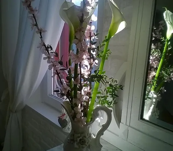 Bed & Breakfast Canova Treviso