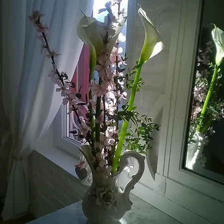 住宿加早餐酒店 卡诺瓦住宿加早餐旅馆 特雷维索