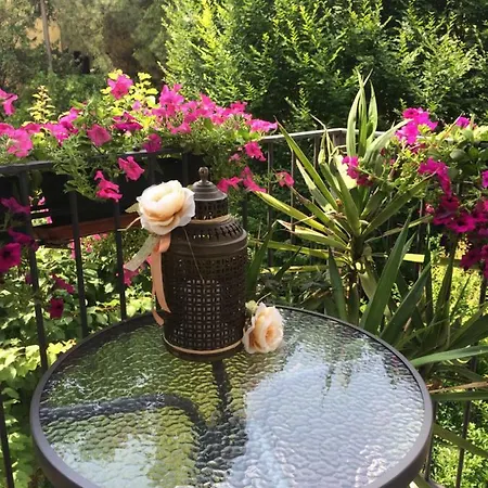 住宿加早餐酒店 卡诺瓦住宿加早餐旅馆 特雷维索