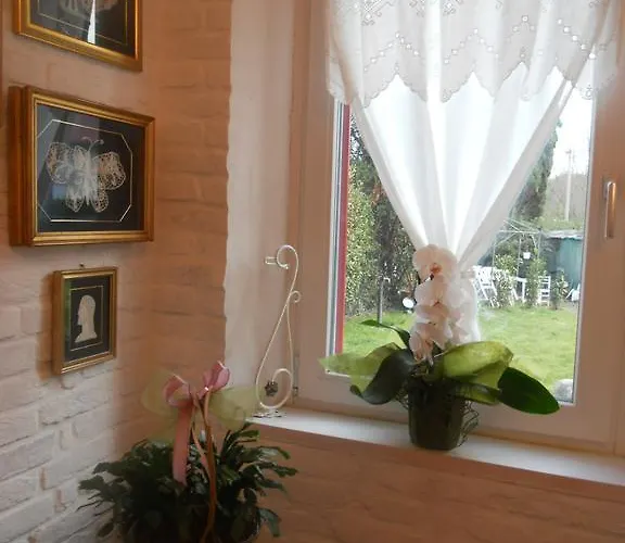 Canova Nocleg ze śniadaniem 4*